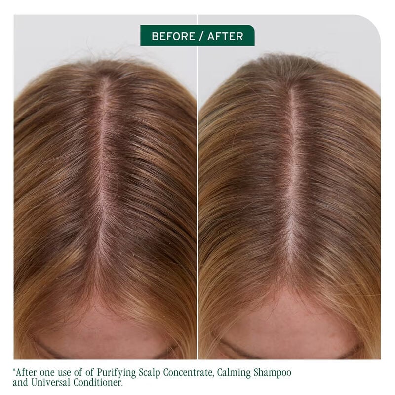 Biolage Scalp Sync Purifying Scalp Concentrate