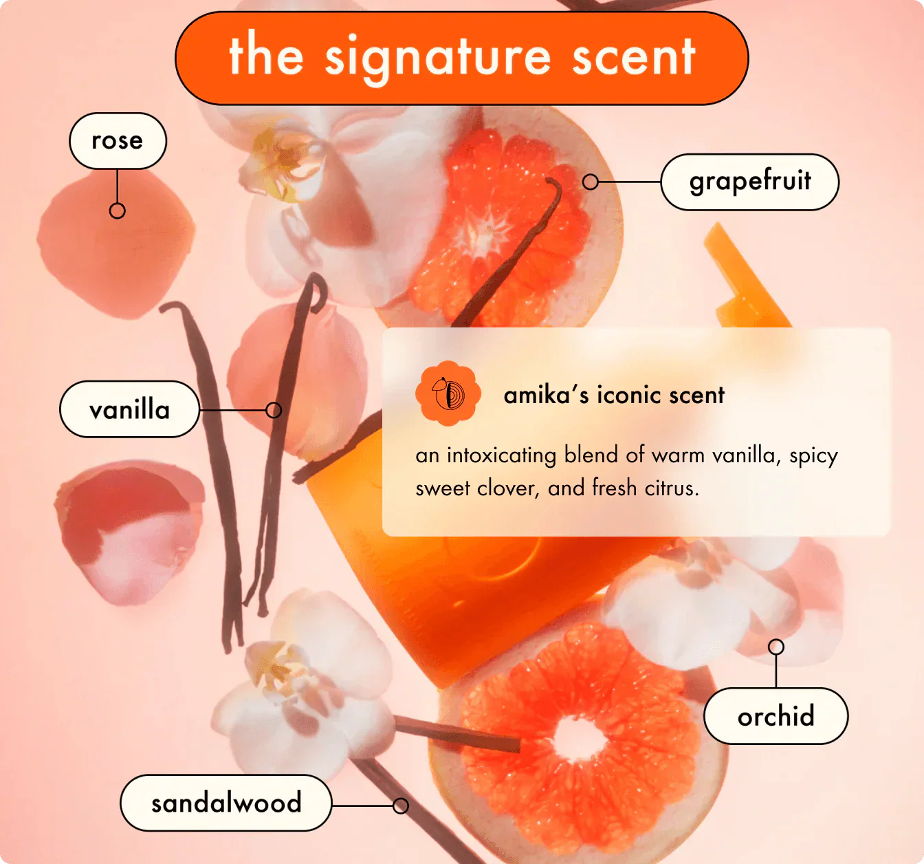 Amika volumizing shampoo enhances body texture and touchable strands