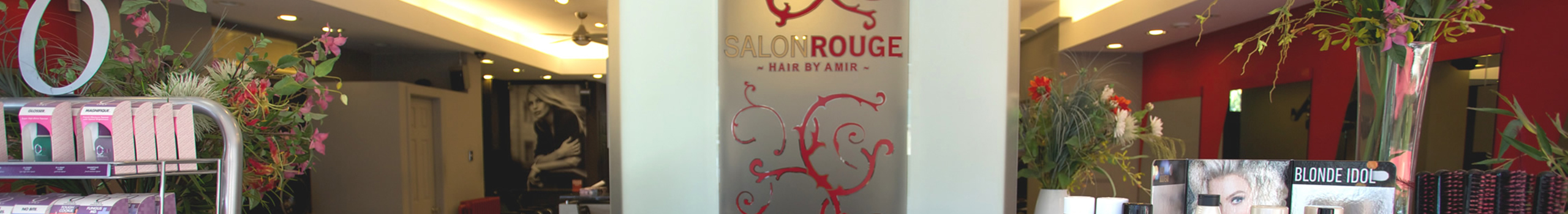 Salon Rouge  Ottawa Hair Salon About us Banner image
